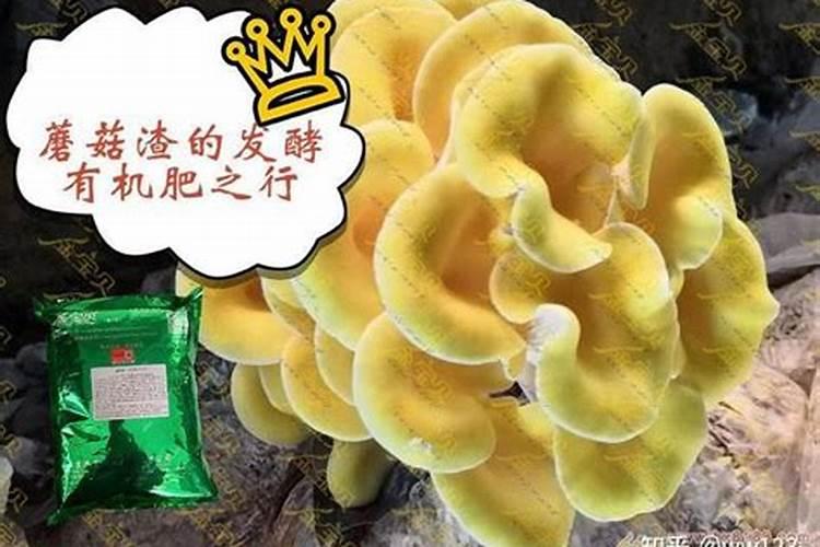 老年人怎么补钙效果好