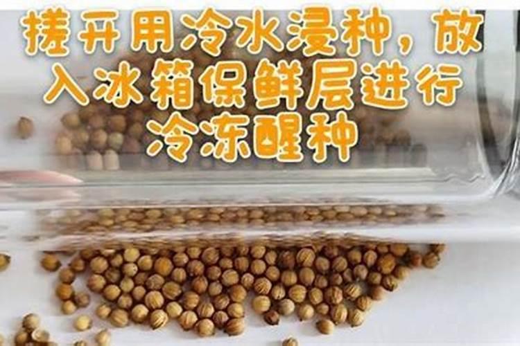 种花生什么时候施肥 种花生应该怎么施肥