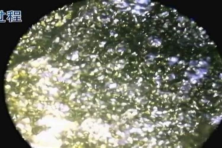 黄瓜叶片有黄斑用什么药