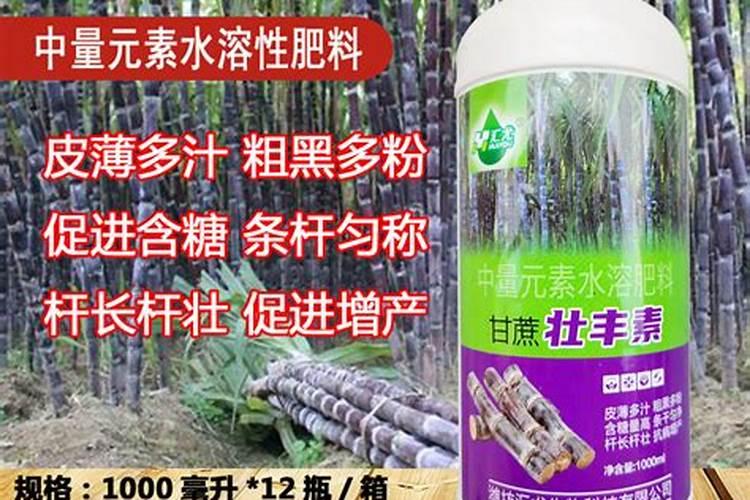 果树结果期用哪种水溶肥效果好？果树膨大期施肥怎么施？