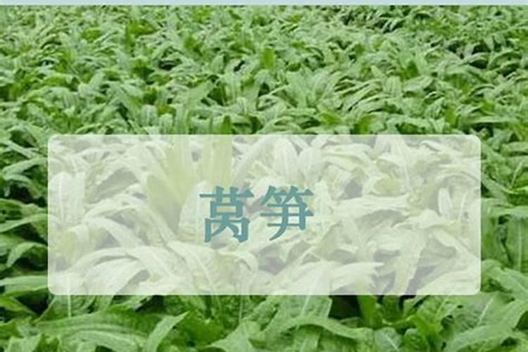 水溶肥和化肥的区别
