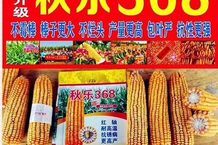 种玉米用什么化肥最好？