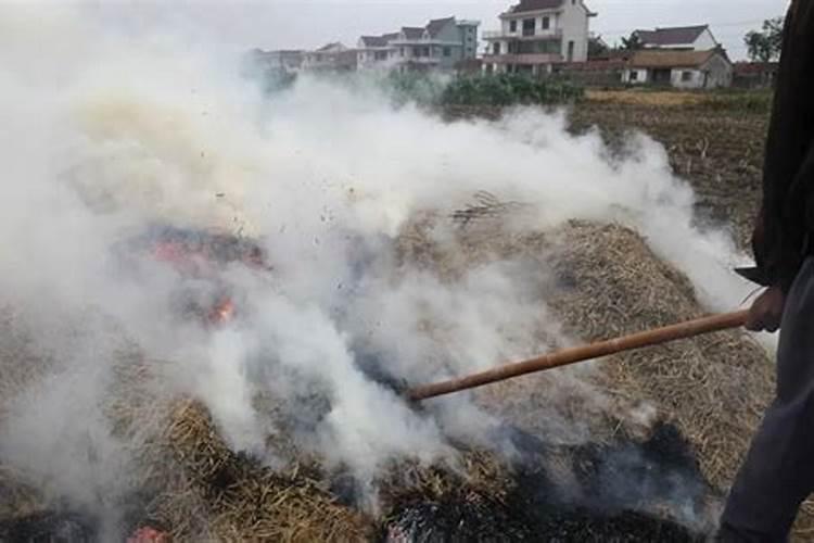 催花用什么肥料好
