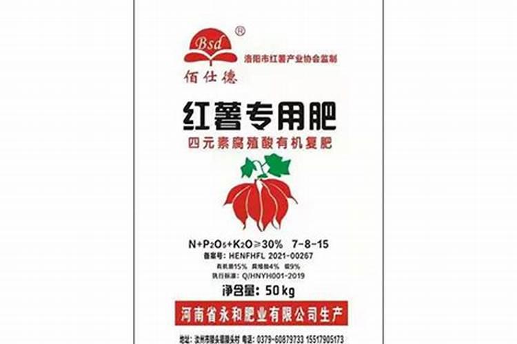 脐橙下冬肥的最佳时间