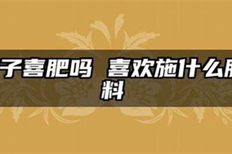 茄子多久浇一次水