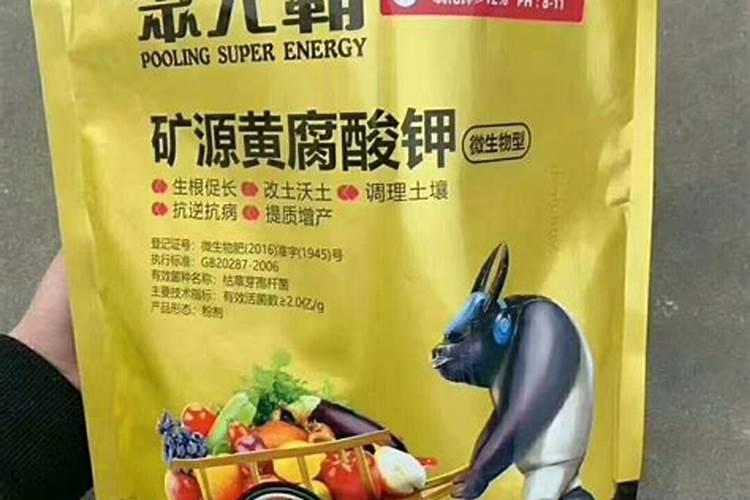 红薯旺长叶子需要怎么管理 红薯怎么施肥