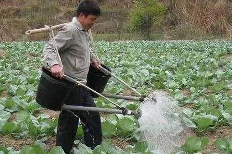 生产肥料应具备哪些资质及手续