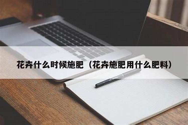 养花什么时候施氮肥(给花施氮肥比例是多少)