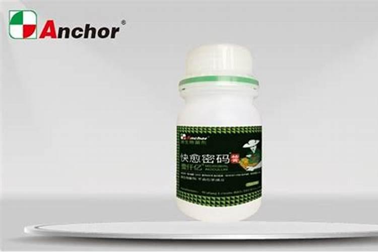 发财树冬天也需要施肥吗？什么样的肥料最合适