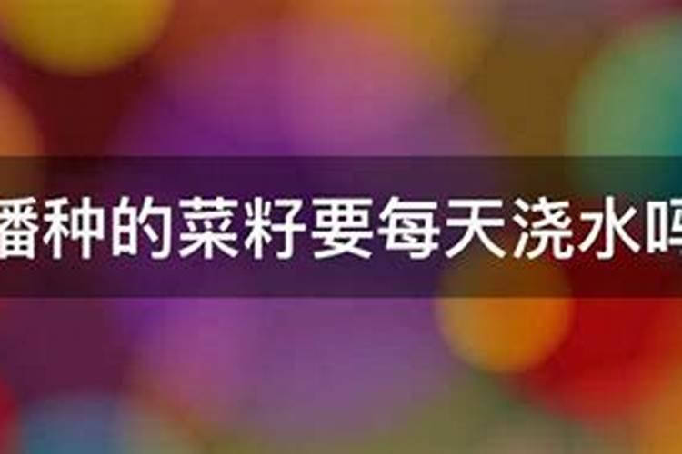 油菜苗子什么时间上合适施肥
