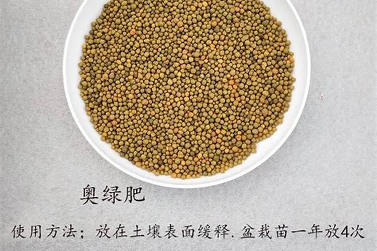 盆栽茶花的施肥方法