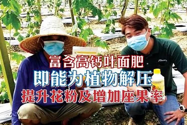 钙肥的作用及施用方法 钙肥对作物的主要作用