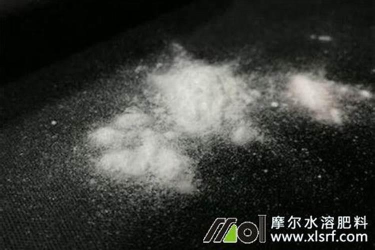 海藻鱼蛋白水溶肥料作用