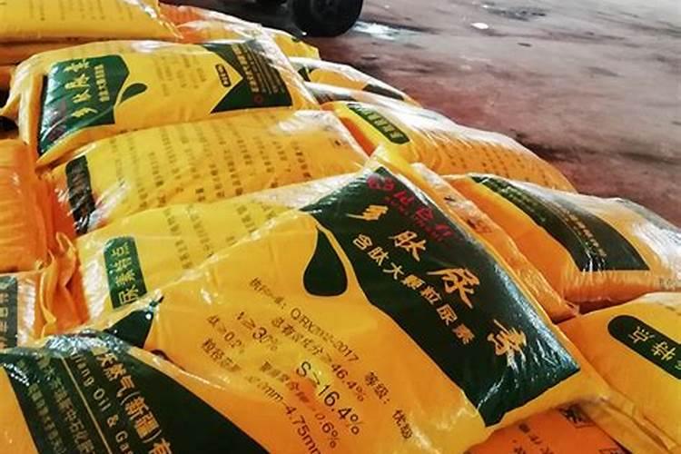 玫瑰怎么施肥