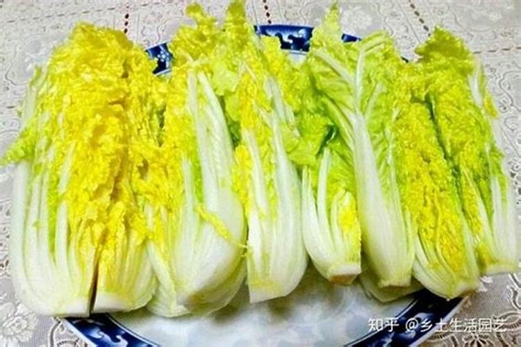 请问这个叫山马蹄的究竟是什么东西