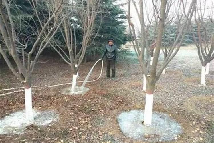 园林植物常见问题十五问