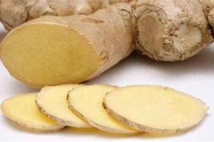 种植大姜怎么施肥好