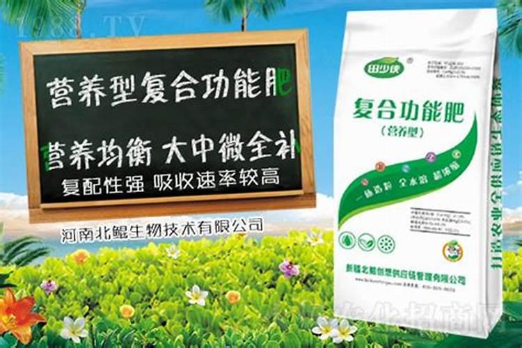 铵态氮是什么肥料