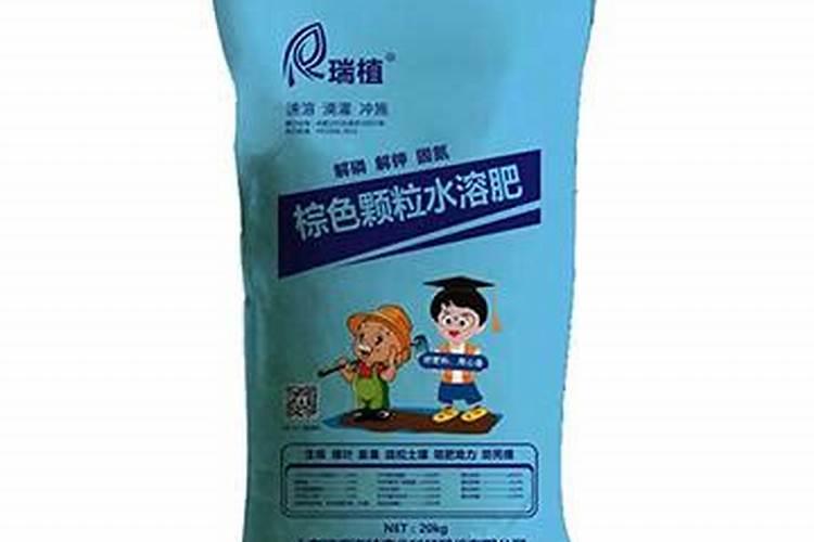 多少年能长大开花呢？