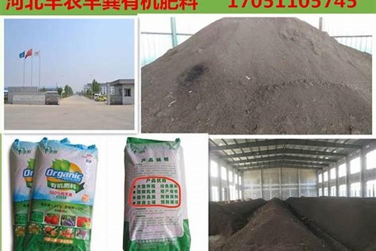 苹果转色期用什么肥能上色？