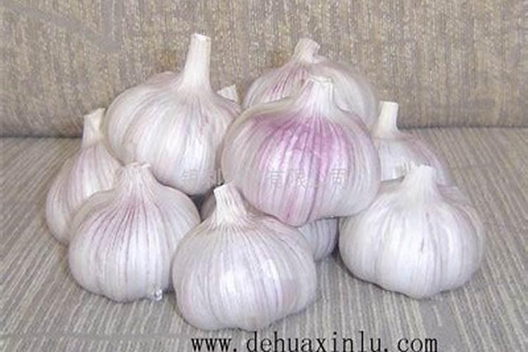 大蒜膨大期用什么肥料