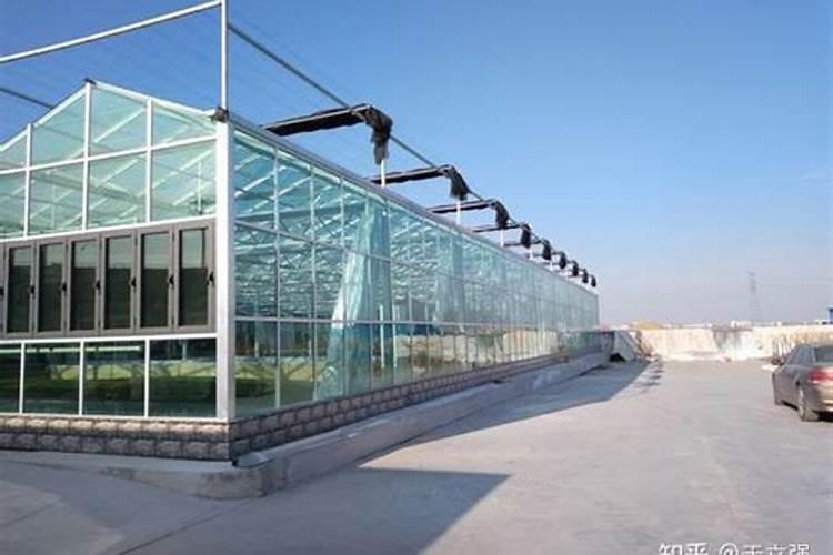 大棚种植茄子需要什么肥料