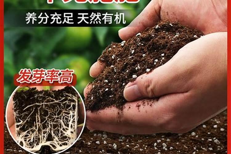 寻求育苗基质的配方