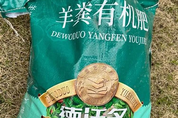 德沃多和史丹利哪个好