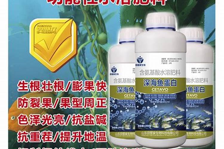 矾肥水和鱼蛋白肥水哪个好
