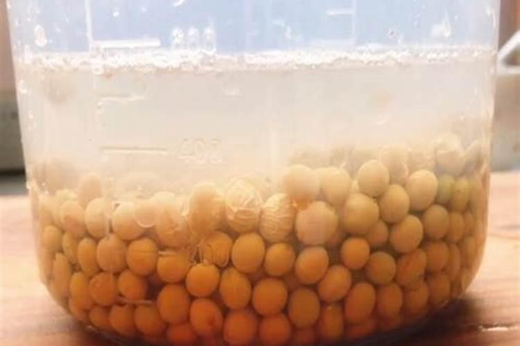 黄豆怎么种植方法