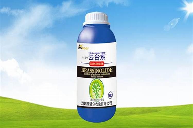 施肥过多烧苗怎么处理