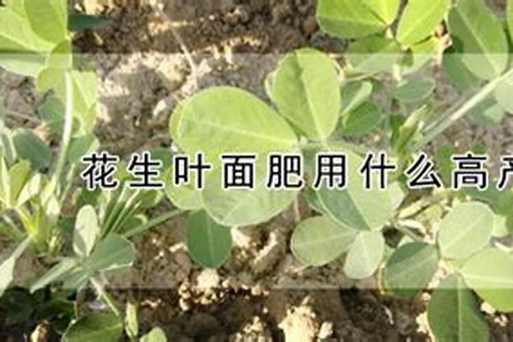 种植花生施肥时间及方法