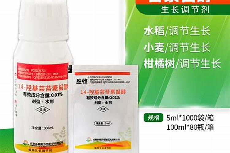 芸苔素的作用和使用方法