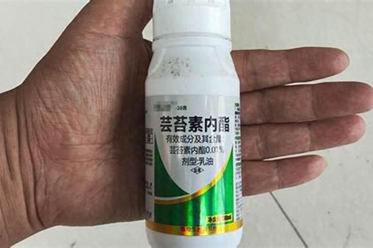 根结线虫最怕什么 根结线虫用什么治简单彻底