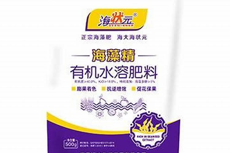 海状元好还是明月好