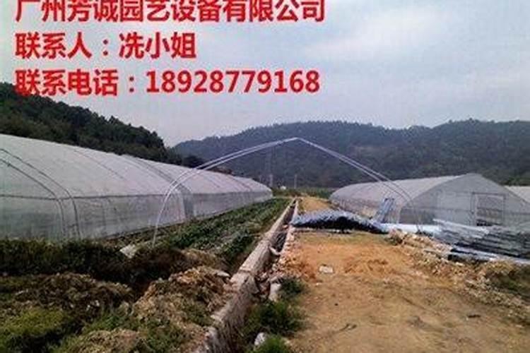 大棚蔬菜如何施肥才能增产？
