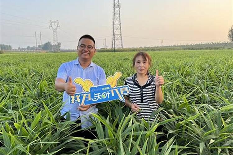 晋中市森康农业科技有限公司怎么样？