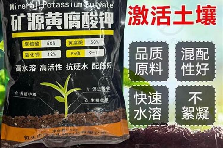 黄瓜烂根用什么药治疗？种植黄瓜用根小子灌根冲施土壤怎么样百度...