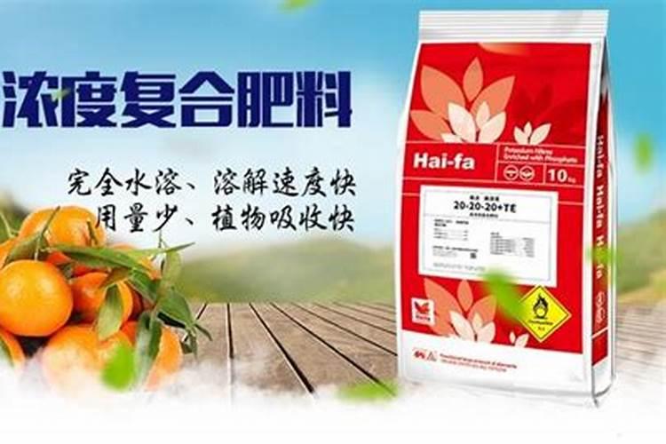 甘蔗施什么肥易长高长粗