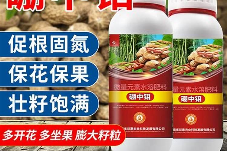 花生硼肥什么时间施用