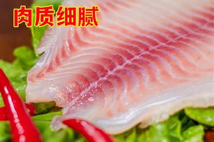 鱼肉蛋白变性有苦味怎么回事