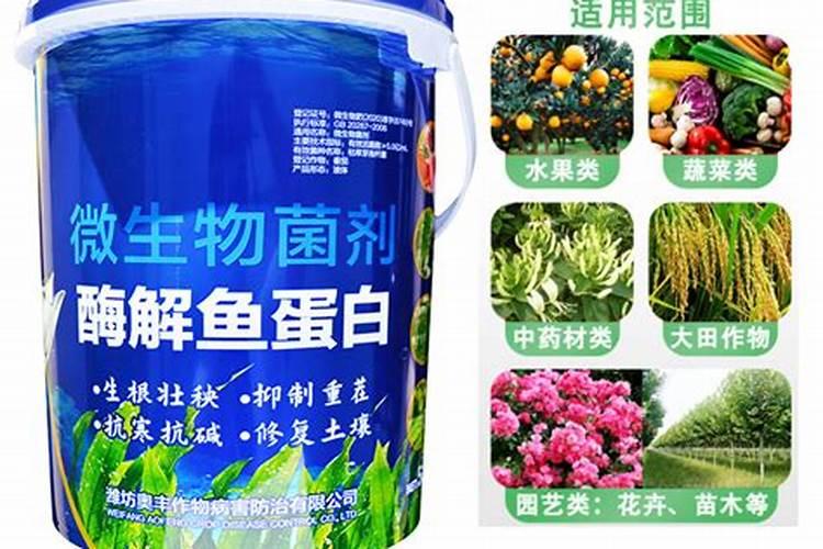 鱼蛋白肥,好的品牌有哪些？