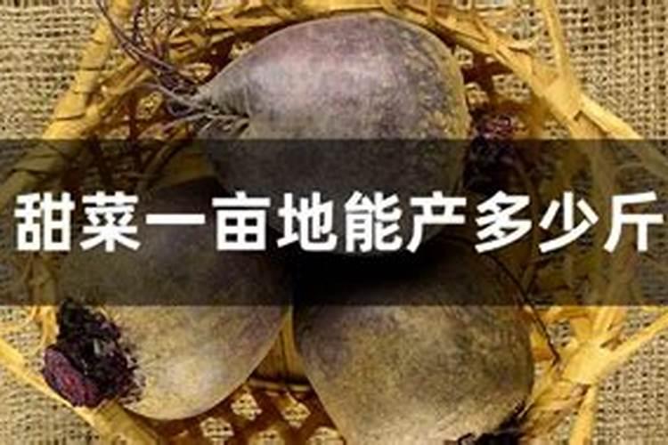 钾肥作为基肥每亩地用量