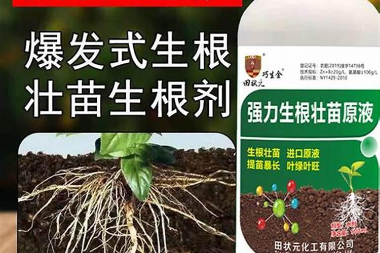 哪种叶面肥效果最好？