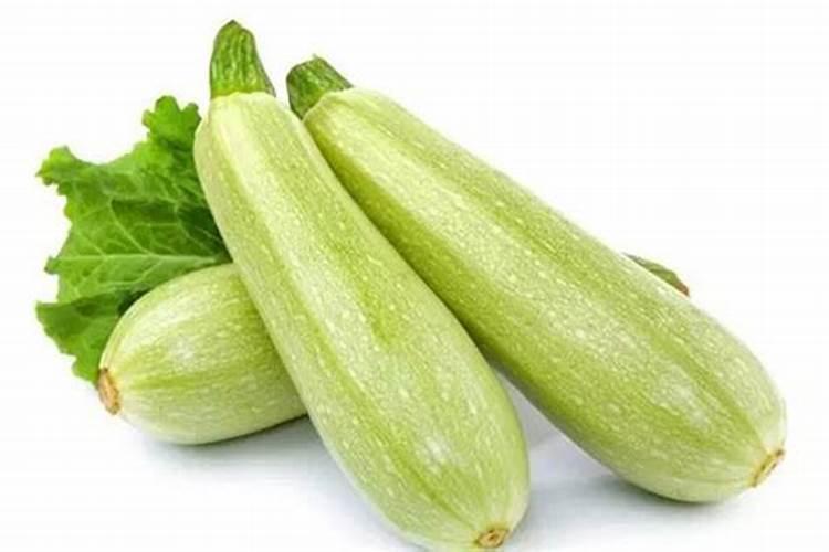 西葫芦的需肥特点和施肥原则是什么