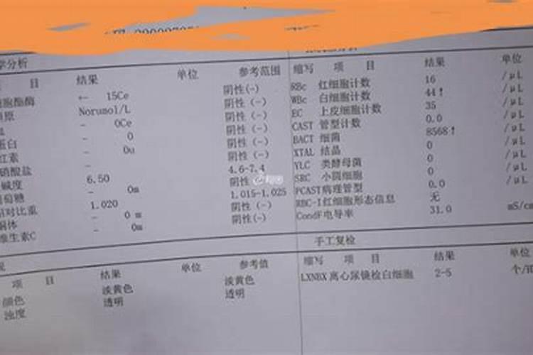 水稻叶尖发黄干枯是什么原因