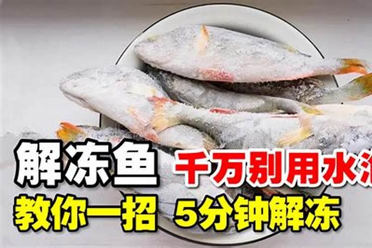 冷冻过的鱼会营养流失吗
