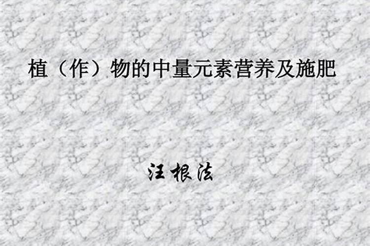 为什么医生不建议打营养液