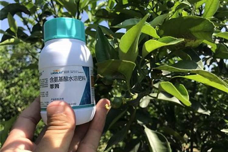 西瓜膨果用什么肥料好？