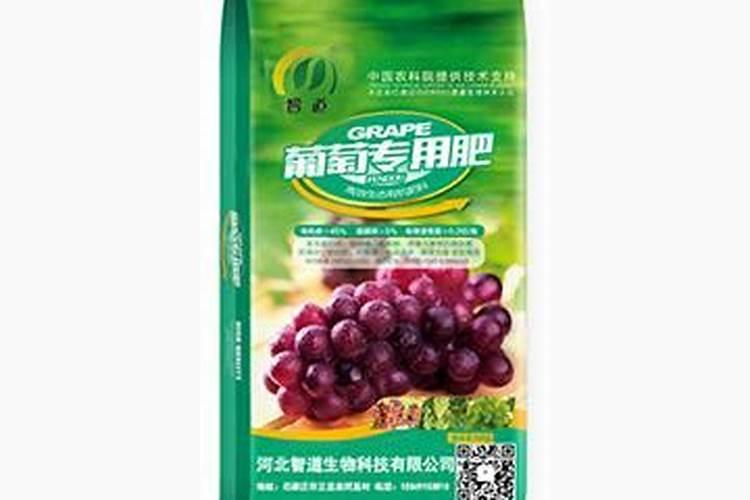 辽宁省抚顺市十一月葡萄可以剪枝吗？
